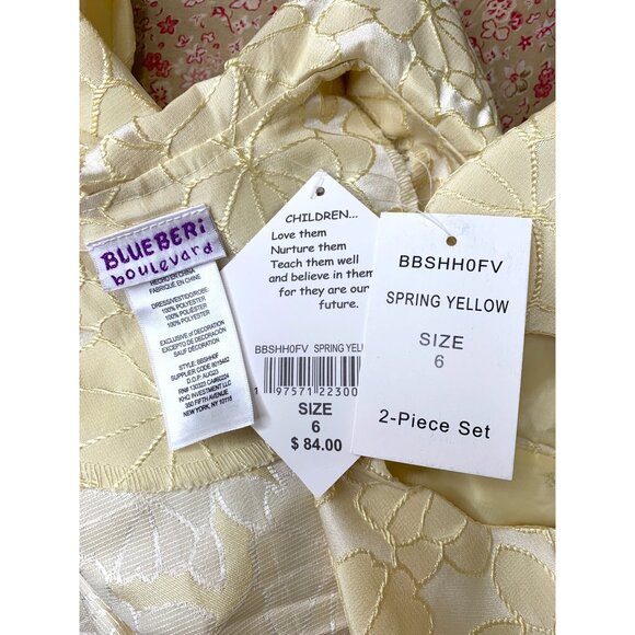 NWT Blueberi Boulevard Girls 2-Piece Yellow Dress & Coat Set Size 6 RAA10418 - Picture 4 of 13